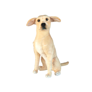 Obrázek z Pes Labrador plyš 66cm  